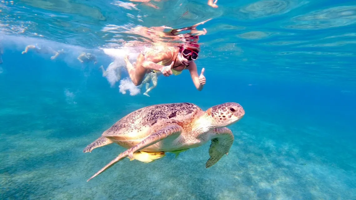 Ausflug ab Marsa Alam zum Schnorcheln mit Schildkröten in der Abu Dabbab Bucht