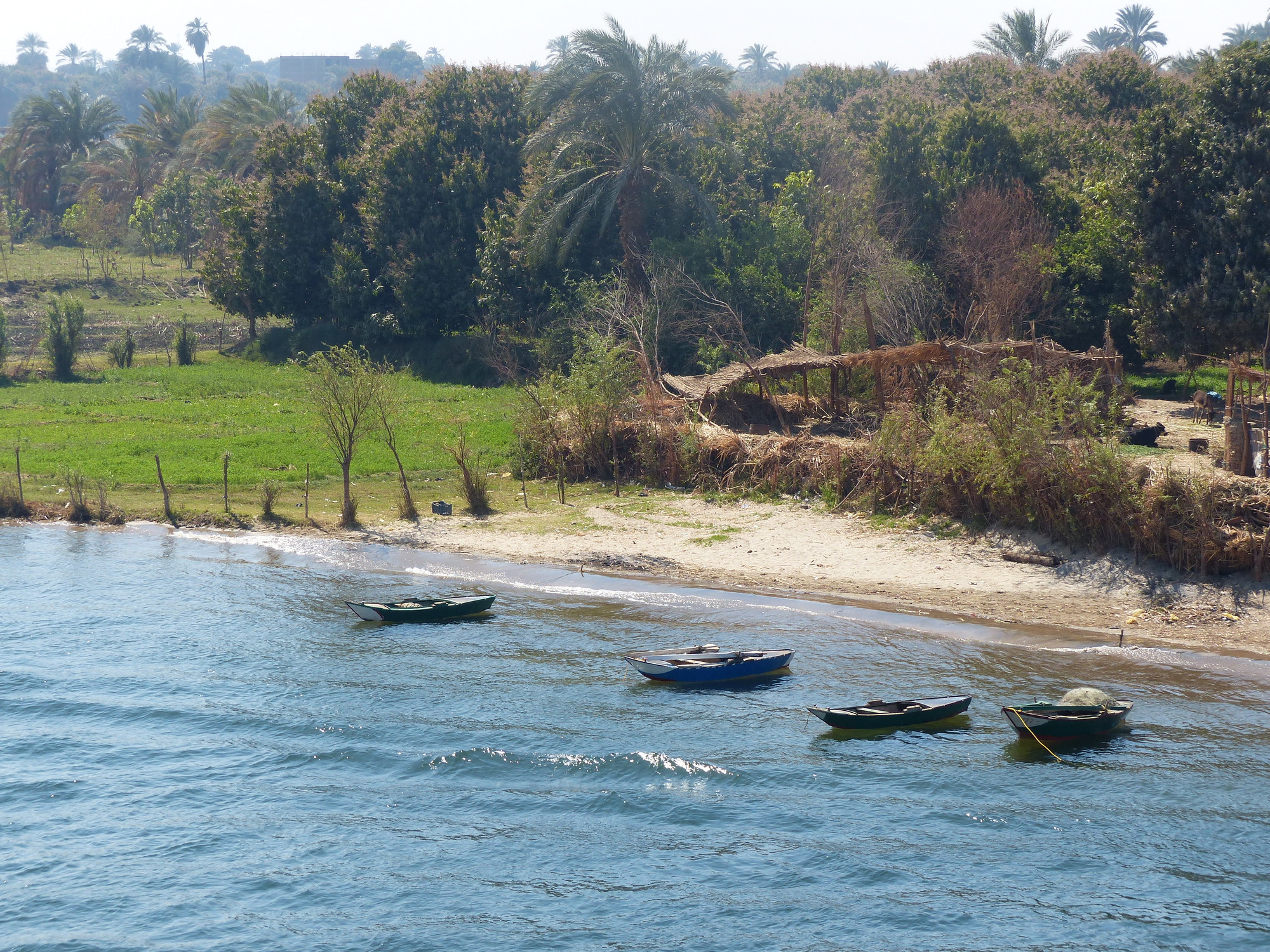 Drei Tages Rundreise Von Hurghada Nach Abu Simbel Assuan Privat Sakkara Reisen Gypten