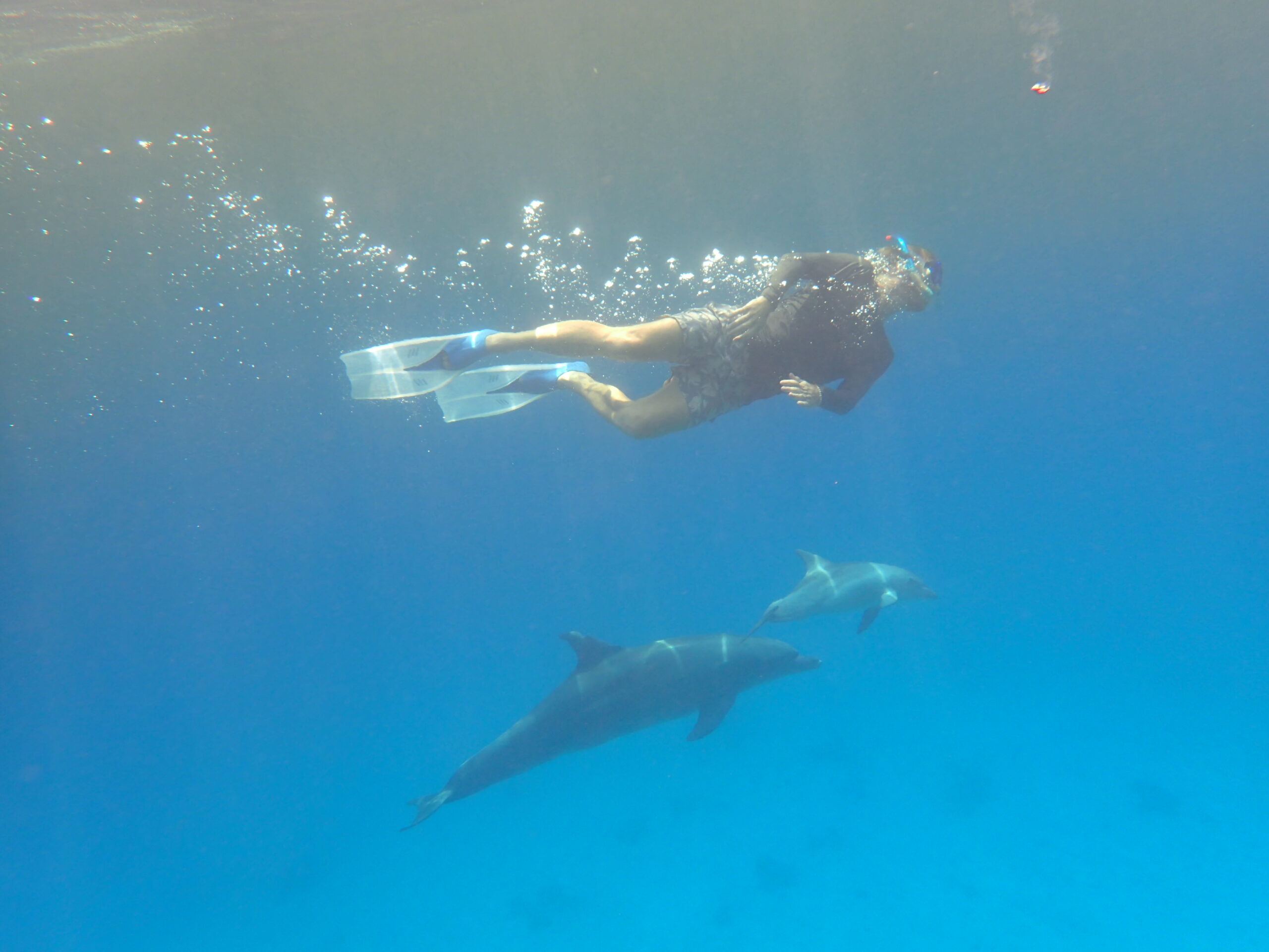 Ausflug ab Marsa Alam - Schwimmen mit Delfinen und Schnorcheln am Sataya Riff