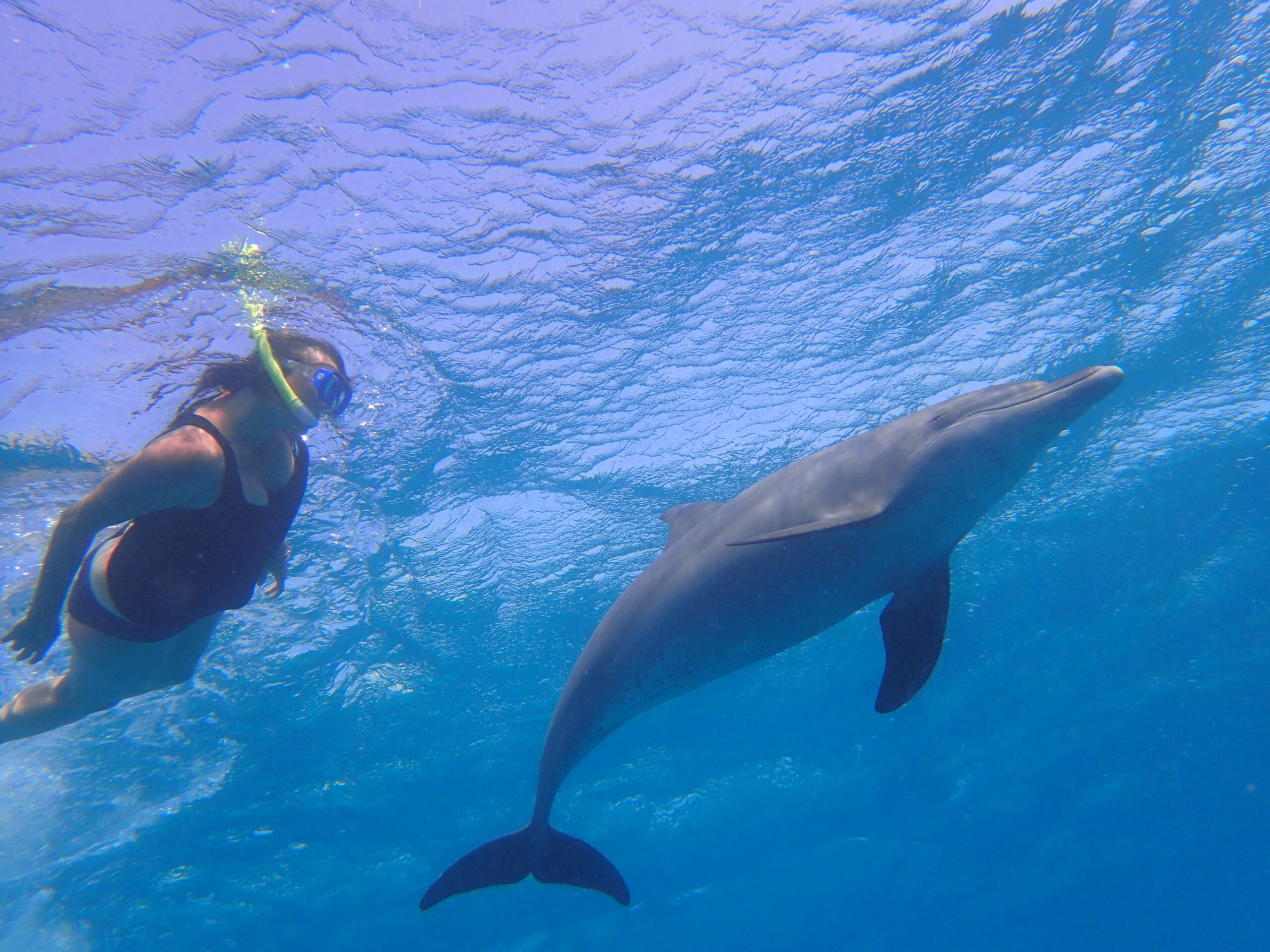 Ausflug ab Marsa Alam - Schwimmen mit Delfinen und Schnorcheln am Sataya Riff