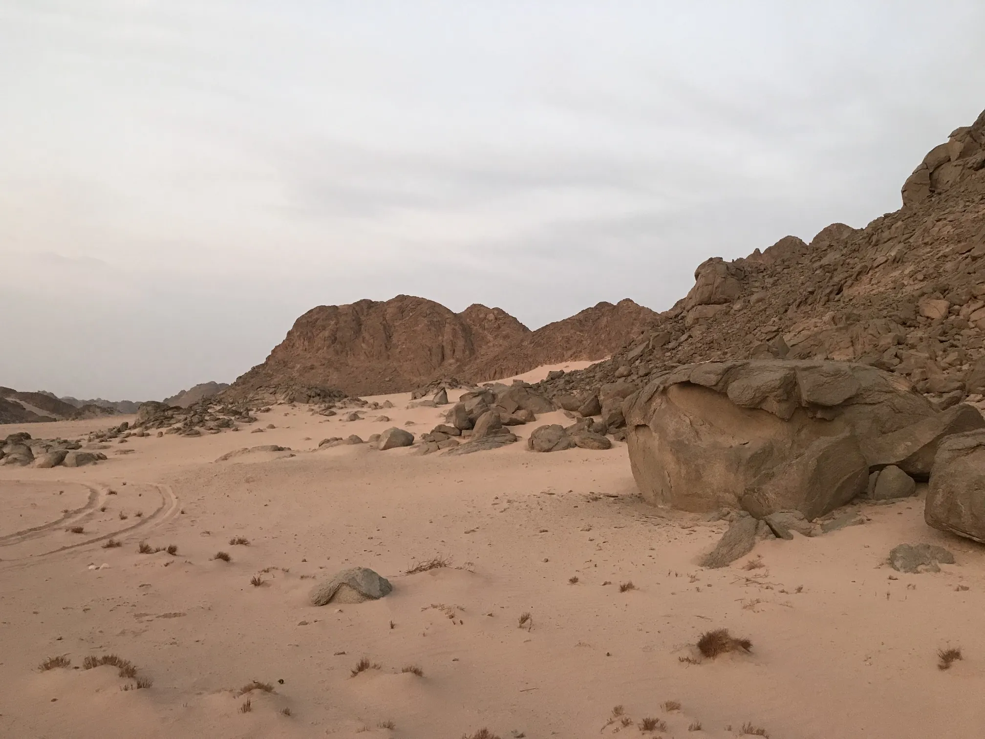Quad Safari – Beduinendorf – Kamelreiten ab Hurghada