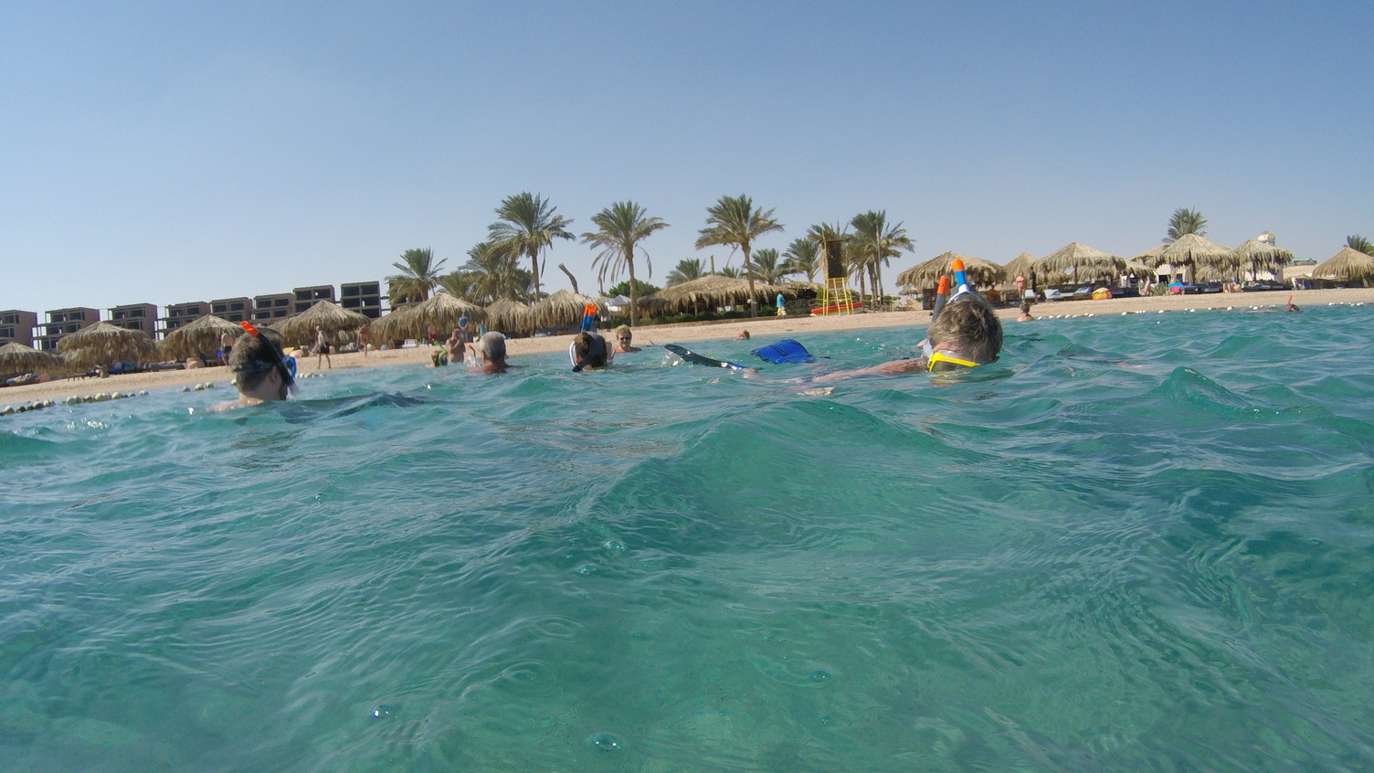 Schnorcheln im Naturschutzgebiet von Sharm el Naga – Ausflug ab Hurghada