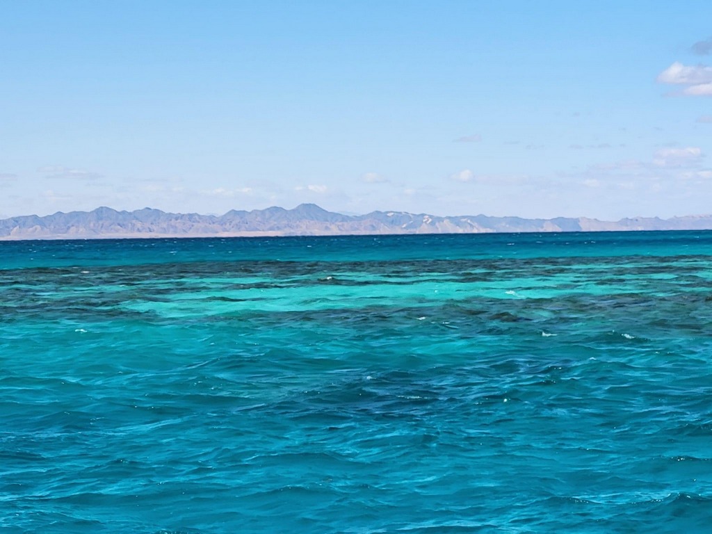 Schwimmen mit Delfinen - Ausflug ab Hurghada