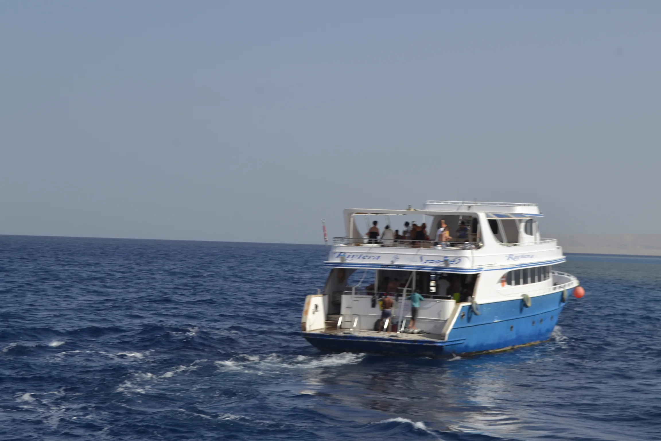 Schwimmen mit Delfinen – privater Ausflug ab Hurghada