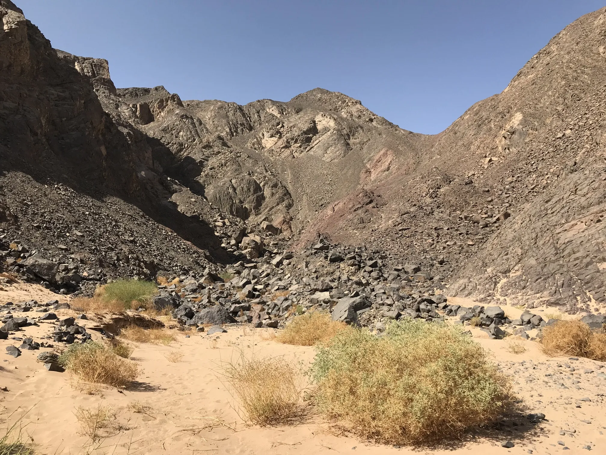 Wüstensafari zum Dry Canyon (1)