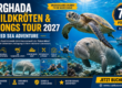 Hurghada Schildkröten & Dugongs Tour 2027 | Red Sea Adventure