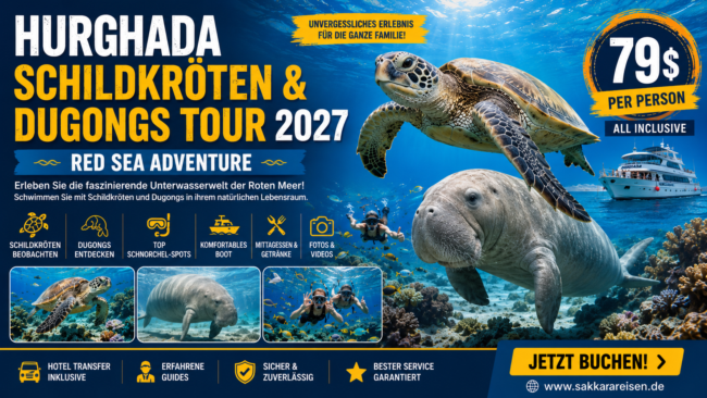 Hurghada Schildkröten & Dugongs Tour 2027 | Red Sea Adventure Hurghada Schildkröten & Dugongs Tour 2027 | Red Sea Adventure