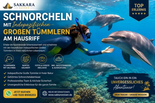 Schnorcheln mit Indopazifischen Großen Tümmlern am Hausriff Schnorcheln mit Indopazifischen Großen Tümmlern am Hausriff