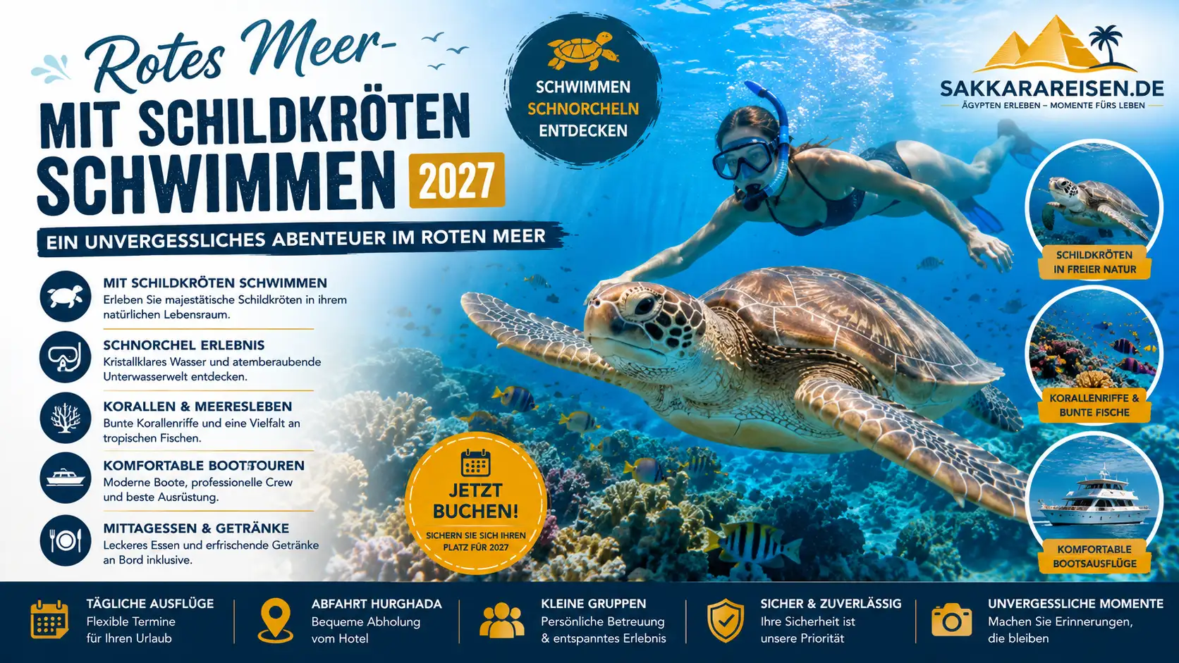 Rotes Meer-Mit Schildkröten schwimmen 2027
