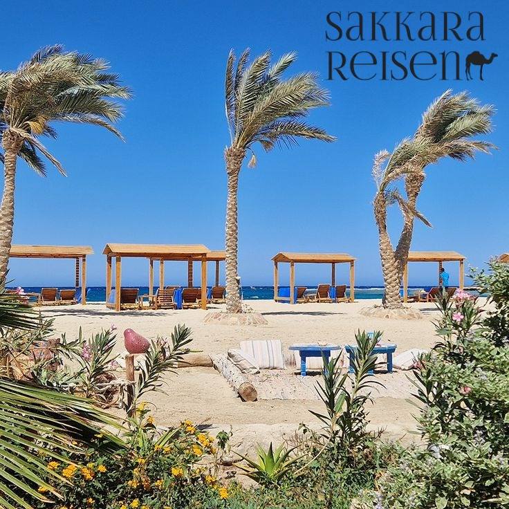 Abu Dabbab Beach, Marsa Alam