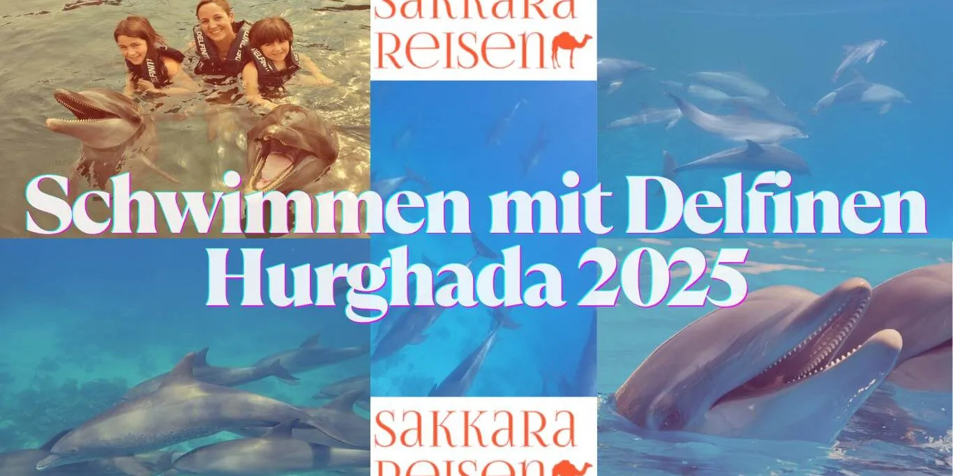 Schwimmen mit Delfinen Hurghada 2025 Schwimmen mit Delfinen Hurghada 2025