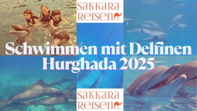 Schwimmen mit Delfinen Hurghada 2025
