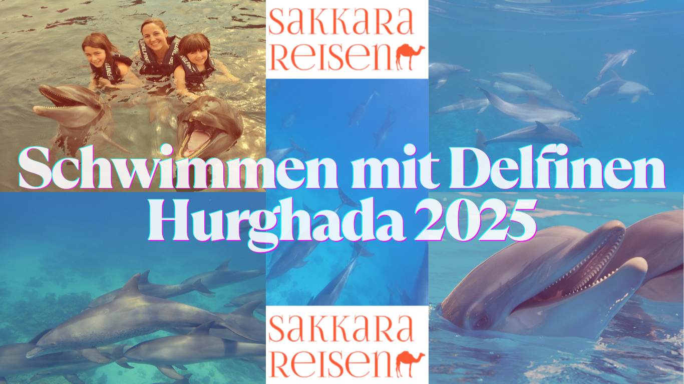 Schwimmen mit Delfinen Hurghada 2025 Schwimmen mit Delfinen Hurghada 2025