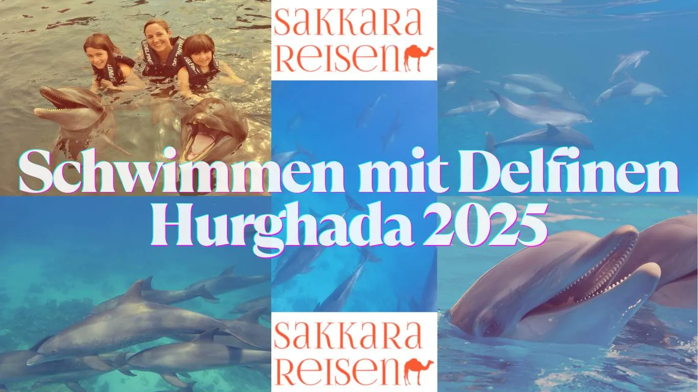 Schwimmen mit Delfinen Hurghada 2025