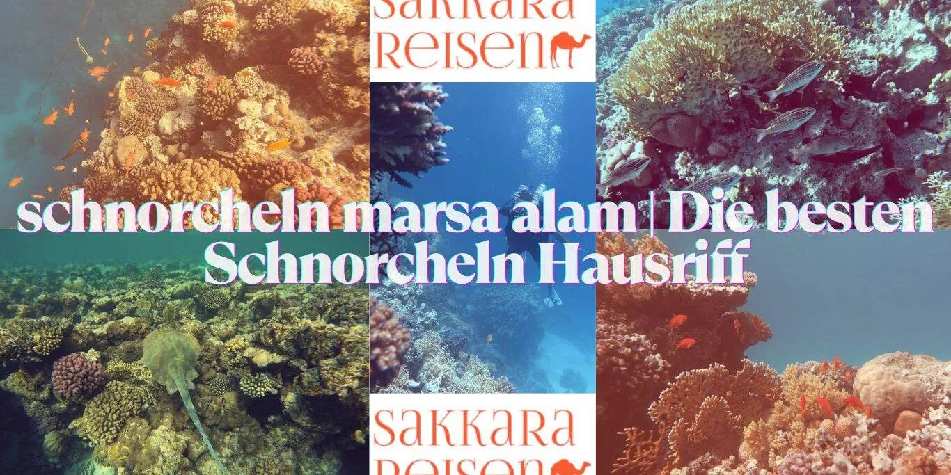 schnorcheln marsa alam | Die besten Schnorcheln Hausriff