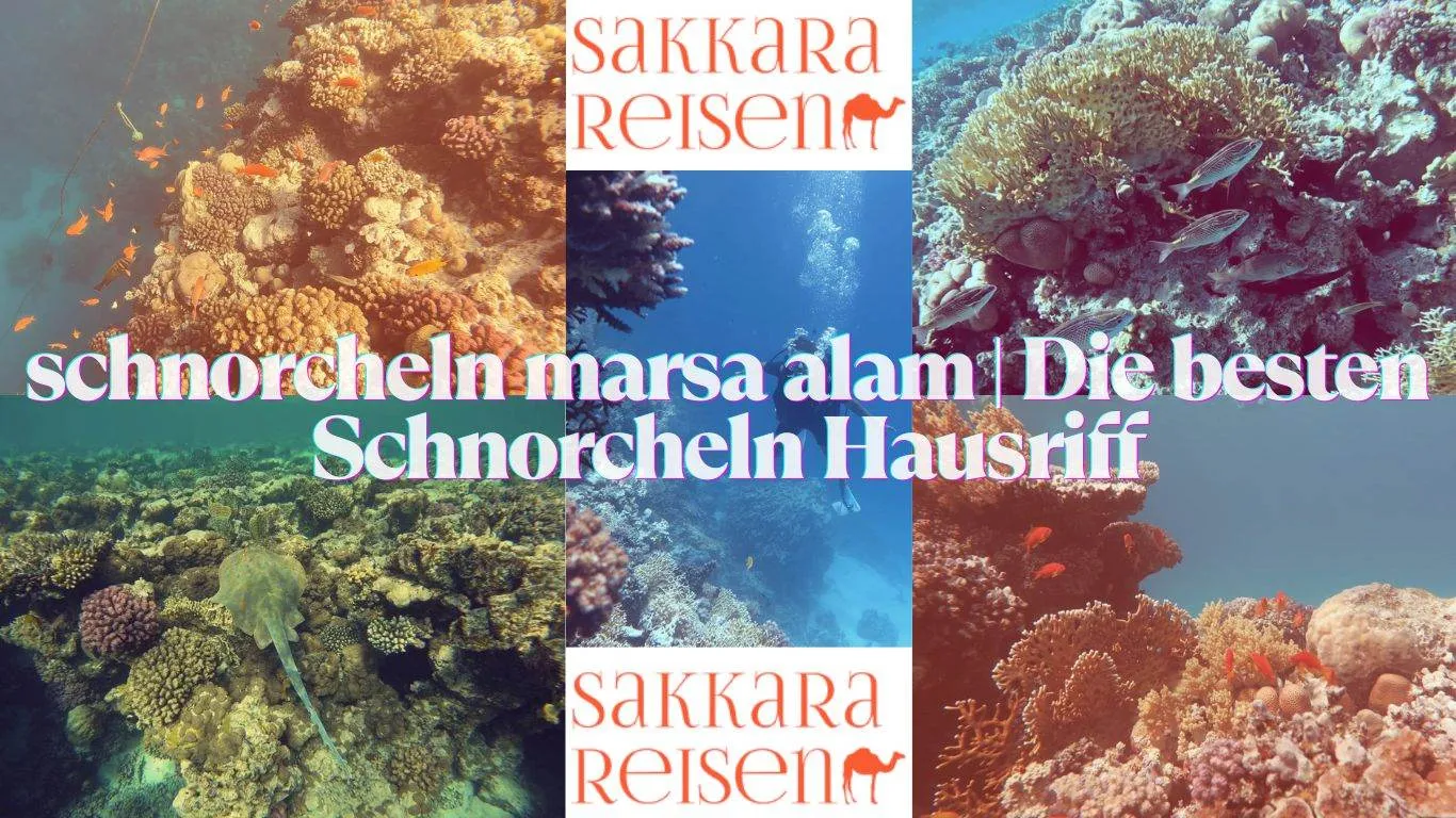 schnorcheln marsa alam | Die besten Schnorcheln Hausriff