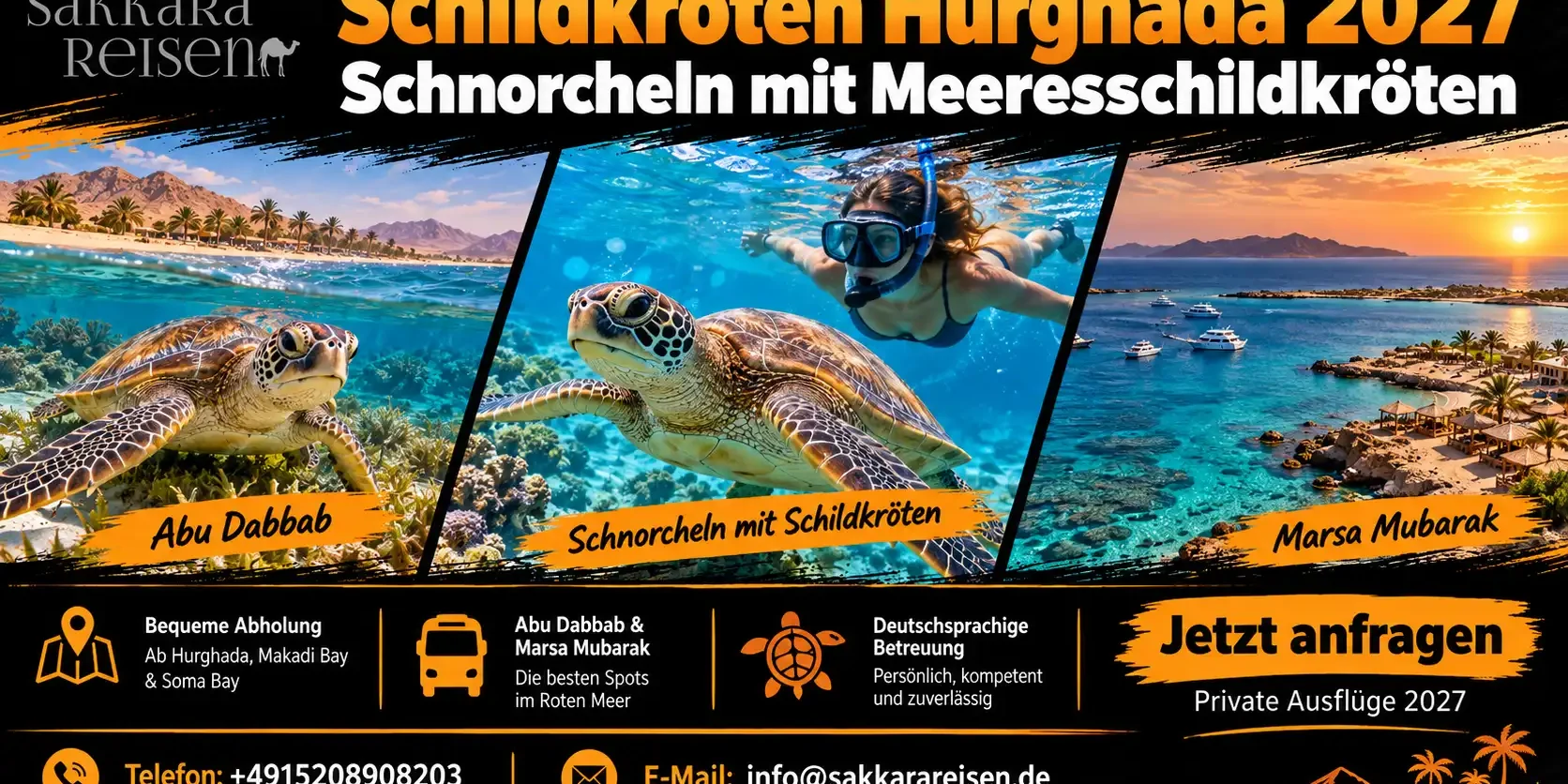 Schildkröten Hurghada 2027