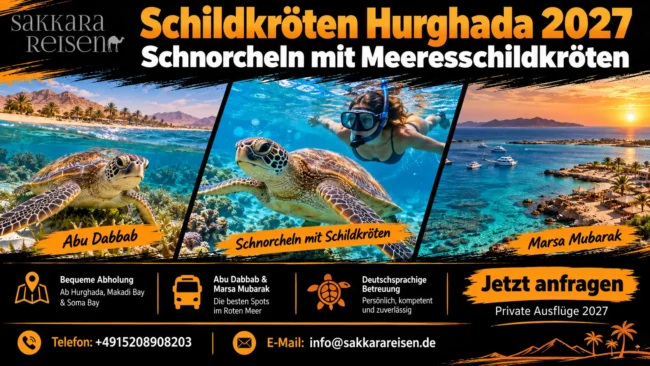 Schildkröten Hurghada 2027