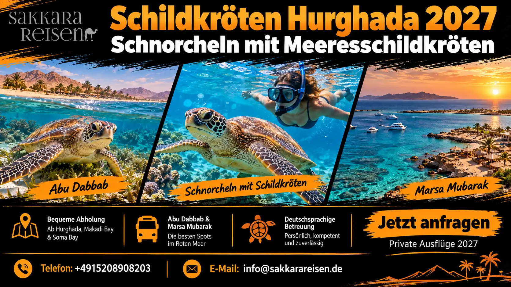 Schildkröten Hurghada 2027