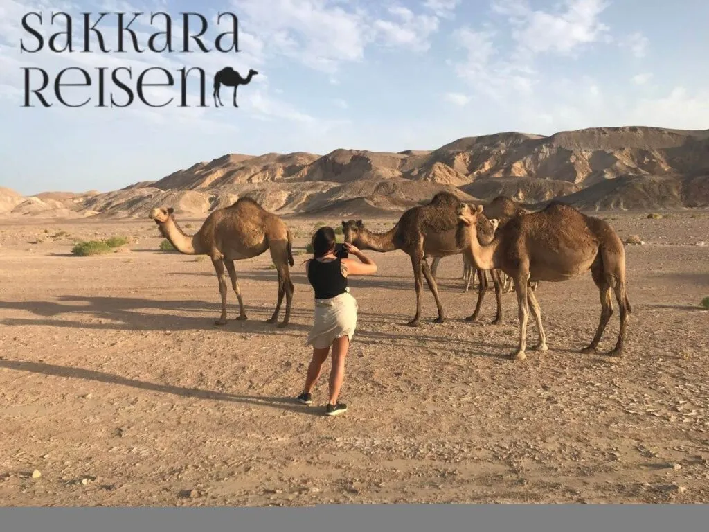 Wüstensafari Marsa Alam Jeep Quad Beduinen