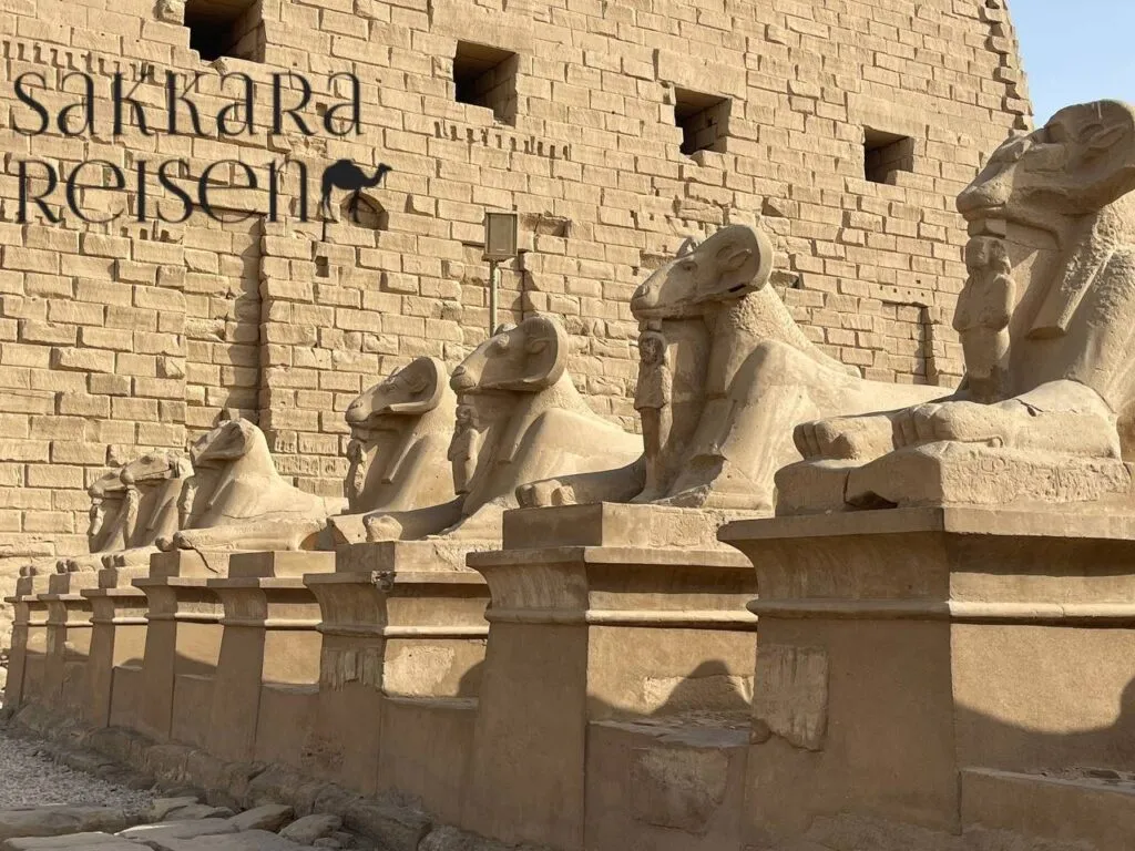 Besichtigung von Luxor und den Tempeln von Karnak