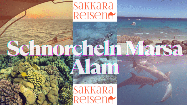 Schnorcheln Marsa Alam