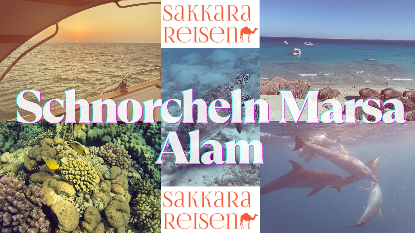 Schnorcheln Marsa Alam Schnorcheln Marsa Alam