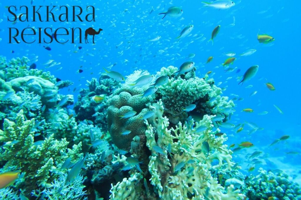Hurghada U Boot