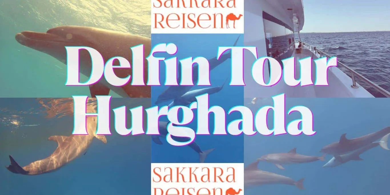 Delfin Tour Hurghada