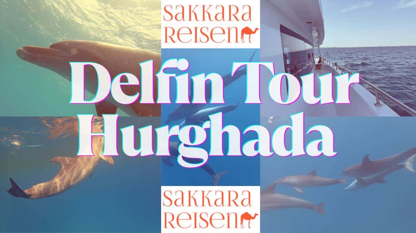 Delfin Tour Hurghada Delfin Tour Hurghada