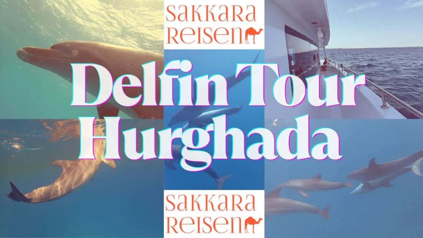 Delfin Tour Hurghada