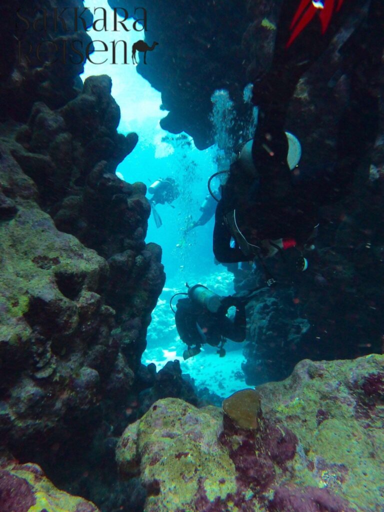 Marsa Alam Coraya bay : Ausflüge &  Schnorcheln