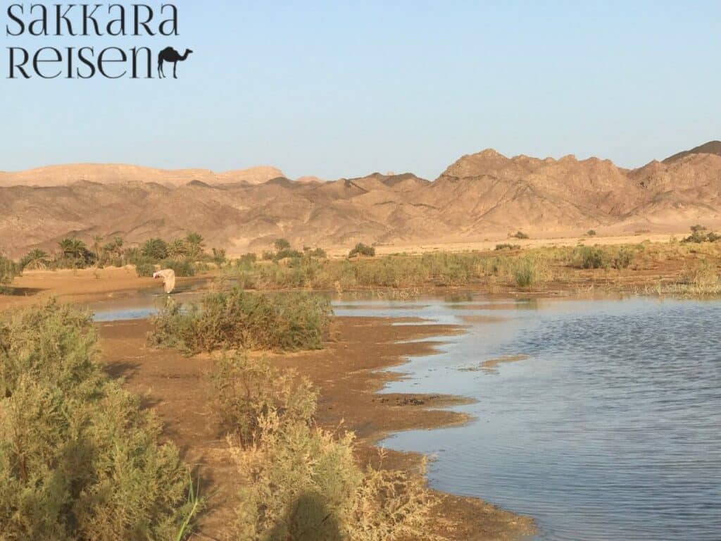 Wüstensafari & Quad Fahren Hurghada