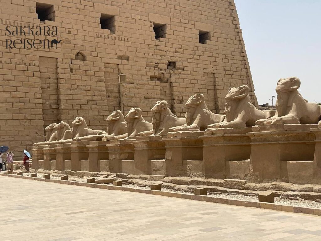 Dendera & Abydos