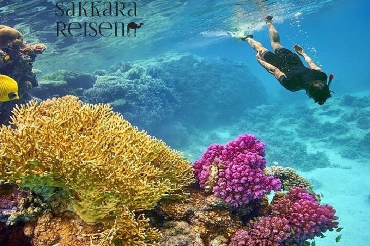 Makadi Bay