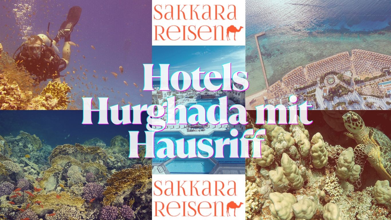 Hotels Hurghada mit Hausriff Hotels Hurghada mit Hausriff