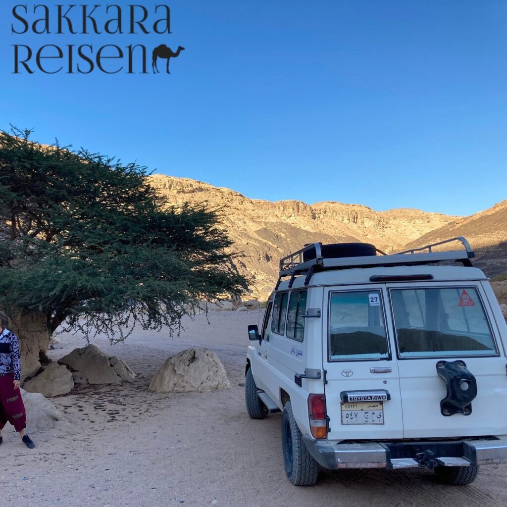 Wüste & Abenteuer – Kamelreiten, Quad und Jeep Safari