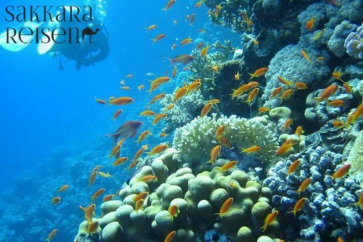 Hotels Hurghada mit Hausriff