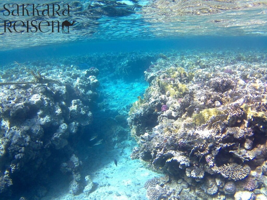 Tag 2 – Meer, Schnorcheln & Delfine