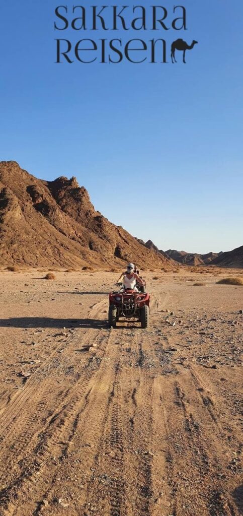 Tag 7 – Meeresschildkröten & Elphinstone-Riff (Marsa Alam)