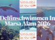Delfinschwimmen In Marsa Alam 2026