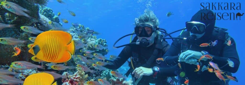 Marsa Alam – paradise for divers and nature lovers