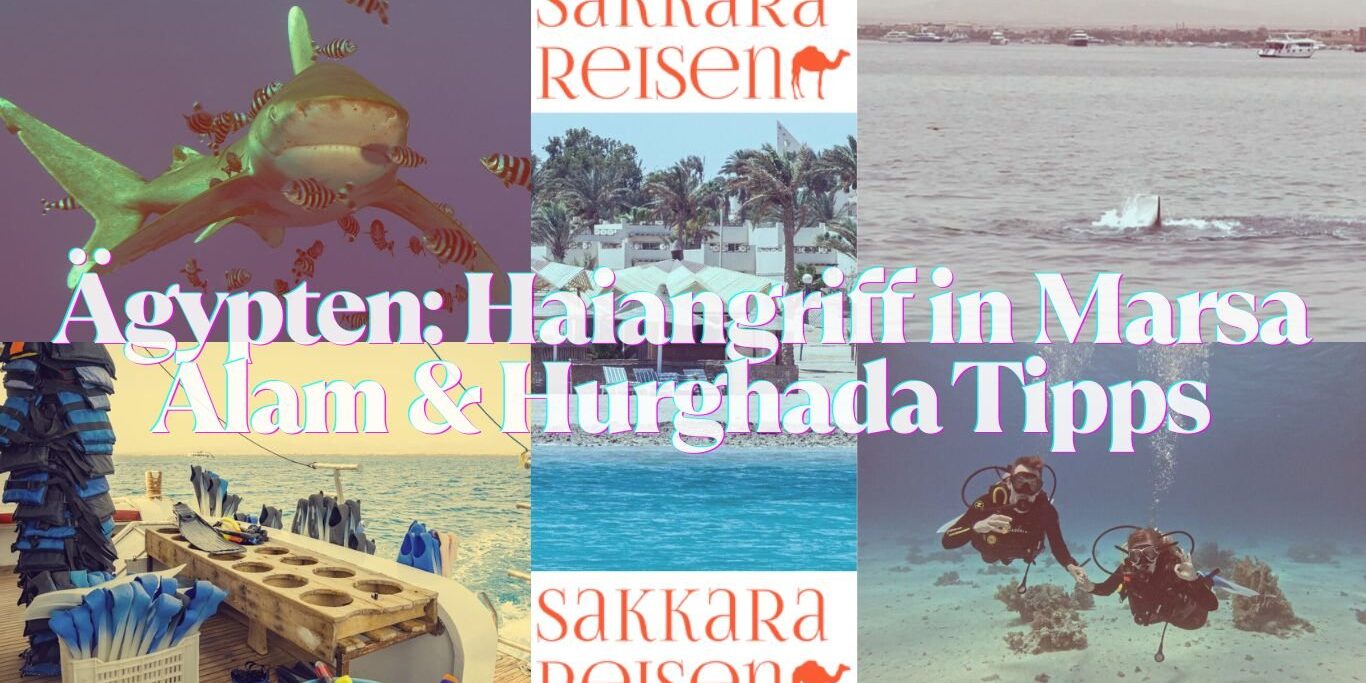 Ägypten: Haiangriff in Marsa Alam & Hurghada Tipps
