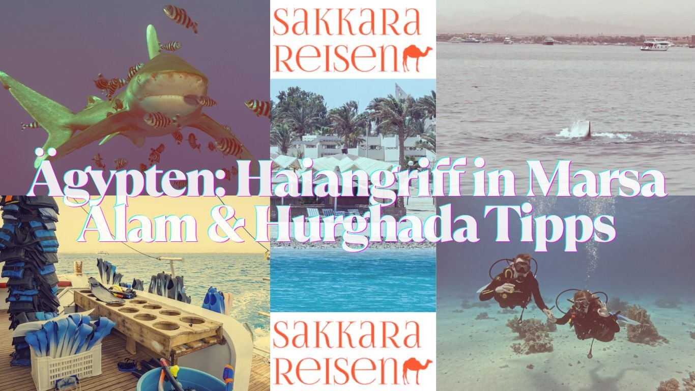 Ägypten: Haiangriff in Marsa Alam & Hurghada Tipps Ägypten: Haiangriff in Marsa Alam & Hurghada Tipps
