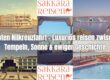 Ägypten Nilkreuzfahrt – Luxuriös reisen zwischen Tempeln, Sonne & ewiger Geschichte