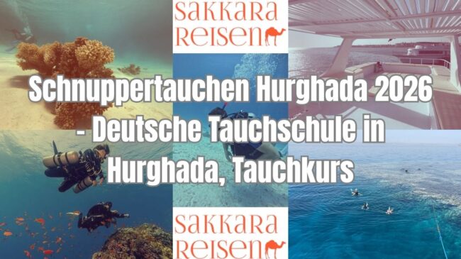 Schnuppertauchen Hurghada 2026 – Deutsche Tauchschule in Hurghada, Tauchkurs Schnuppertauchen Hurghada 2026 - Deutsche Tauchschule in Hurghada, Tauchkurs