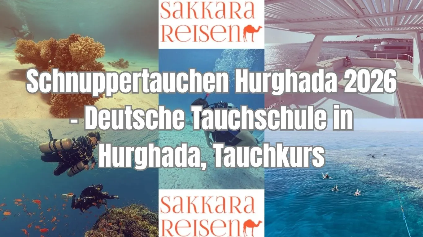 Schnuppertauchen Hurghada 2026 - Deutsche Tauchschule in Hurghada, Tauchkurs