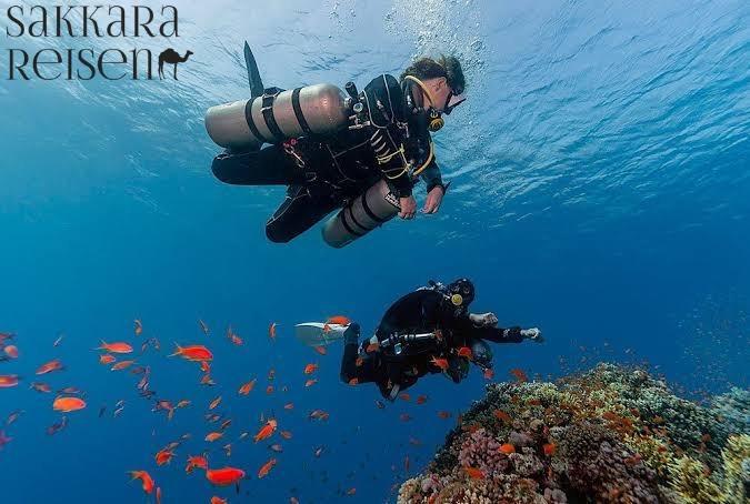 Erster Tauchgang – Entdecke das Rote Meer