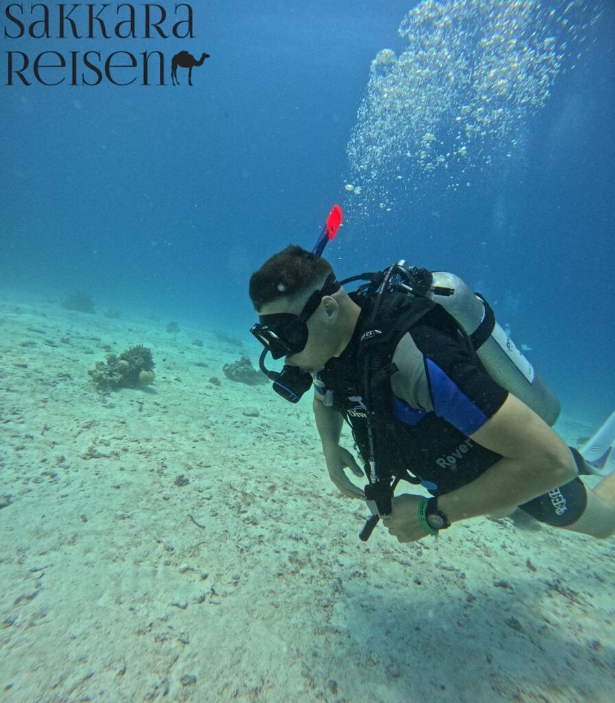 Zweiter Tauchgang – Tiefer eintauchen in die Magie des Meeres