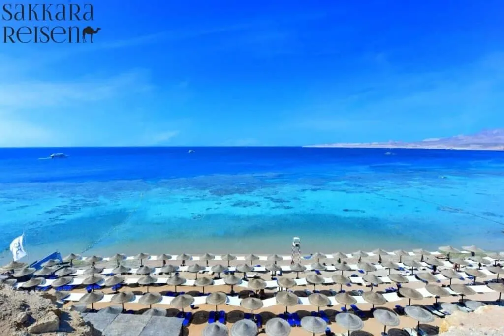 Egypt Hotel With House Reef
